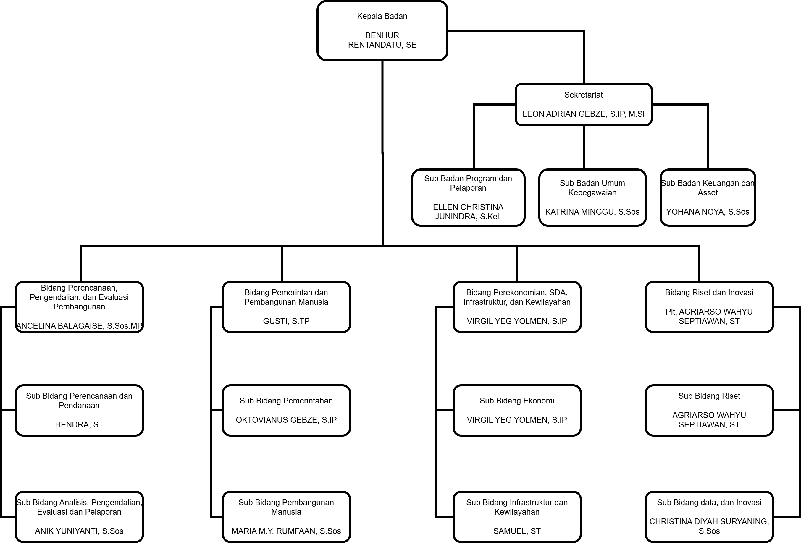 Struktur Organisasi BAPPERIDA Merauke